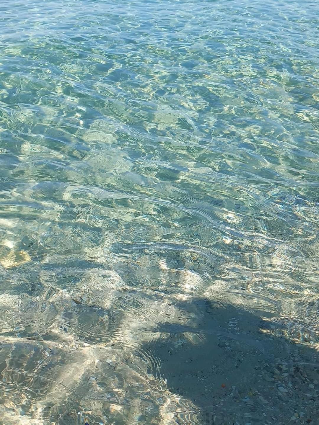 Villa Salvatore Capaci Εξωτερικό φωτογραφία